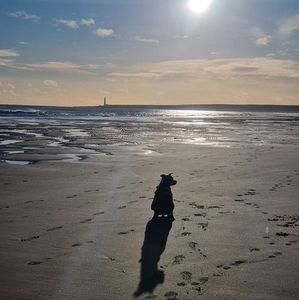 Meet your Posher, Elinor